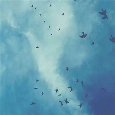 bet体育365官网正规app下载