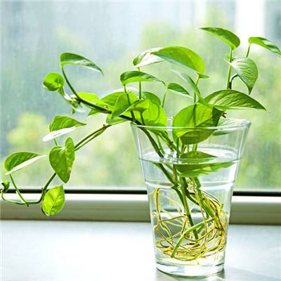 开云集团app下载